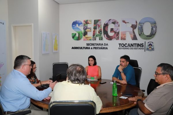 A reunião visa uma parceria para mapear o caminho a ser percorrido na agenda agroambiental do Tocantins e posterior captação de recursos